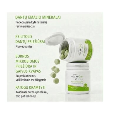 ApaCare Gum kramtomoji guma su ksilitoliu ir dantų emalio mineralais, mėtų skonio, 45 vnt. (86 g) 1