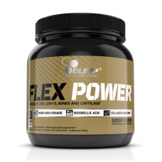 FLEX-POWER