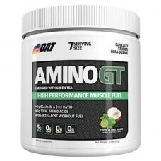 GAT- Amino GT, High Performance Muscle Fuel, Tropical Lime Mojito (91 g)