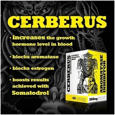 Iridium Labs Cerberus 60 caps – Testosterono skatintojas 2